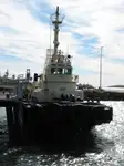 Hinausvene Myytävänä