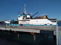Troolari myynnissä
