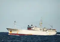 Troolari myynnissä
