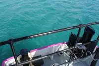 General Cargo/Multi-purpose myynnissä