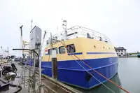 Risteilyalus myynnissä