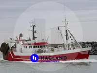 Troolari myynnissä