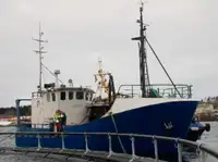 Trawler Myytävänä