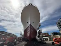 Troolari myynnissä