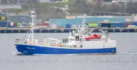 Purse seiner Myytävänä