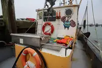 Troolari myynnissä