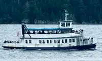 Risteilijä Myytävänä