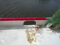 Troolari myynnissä