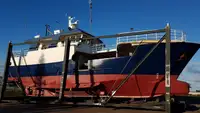 Troolari myynnissä