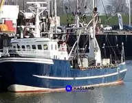 Vinssitroolari myynnissä