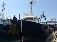 Troolari myynnissä
