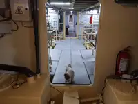 General Cargo/Multi-purpose myynnissä