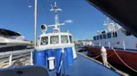 Partiovene myynnissä