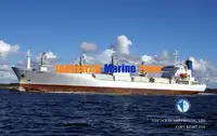 Jääkaivaaluksen tyyppinen alus myynnissä