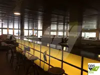 Ro-Ro-alus myynnissä