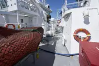 Troolari myynnissä