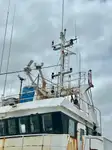 Troolari myynnissä