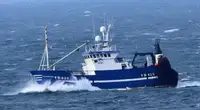 Troolari myynnissä