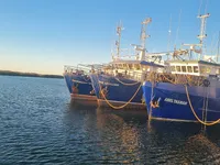 Troolari myynnissä
