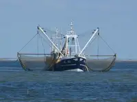 Trawler Myytävänä