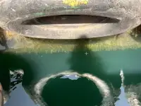 Vetolaiva myynnissä