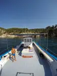 Troolari myynnissä