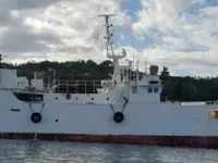 Troolari myynnissä