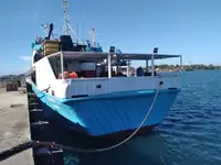 Troolari myynnissä