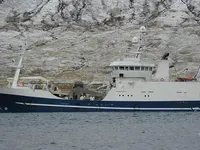 Troolari myynnissä