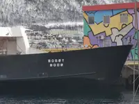 Ro-Ro-alus myynnissä