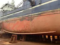 Troolari myynnissä