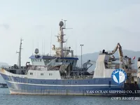 Troolari myynnissä