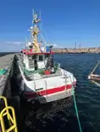Partiovene myynnissä