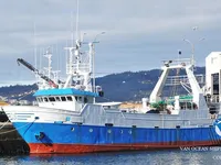 Troolari myynnissä