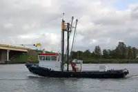 Troolari myynnissä