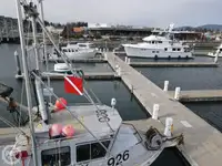 Pelastusvene myynnissä