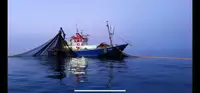 Trawler Myytävänä