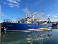 Troolari myynnissä