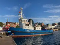 Hinausvene Myytävänä