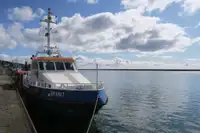 Partiovene myynnissä