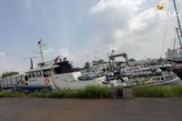 Partiovene myynnissä