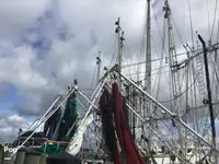 Troolari myynnissä