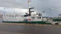 Troolari myynnissä