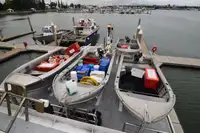 Troolari myynnissä