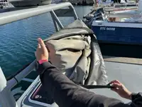 Partiovene myynnissä