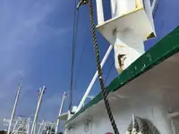 Troolari myynnissä