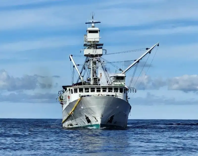 nuottaa Myytävänä