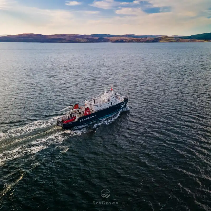 Tutkimusalus Myytävänä