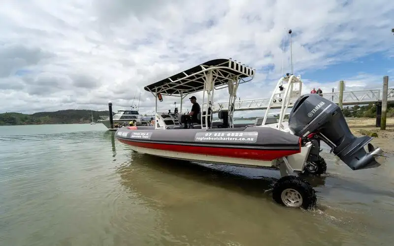 Amfibinen Myytävänä