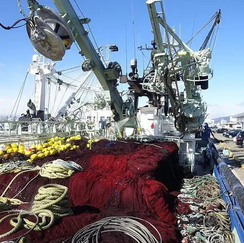 nuottaa Myytävänä